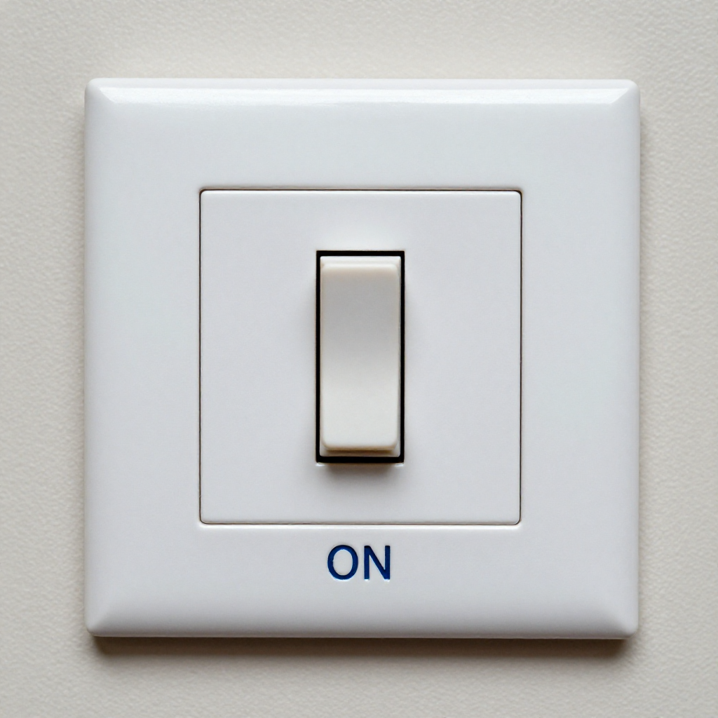 Check the fan's wall switch